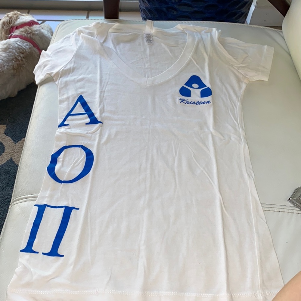 Alpha Omicron Pi Philanthropy V-Neck Tee